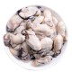 IQF Oyster Meat 蚝肉| ±1 kg