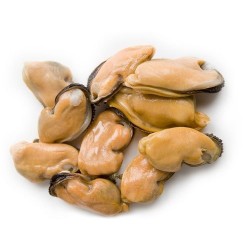 Mussel Meat 500GM/PKT