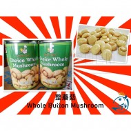 Golden Chef Button Mushroom | 425 gm/can Golden Chef Button Mushroom | 425 gm/can