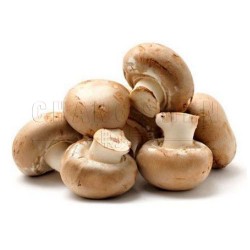 Golden Chef Button Mushroom | 425 gm/can