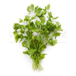 Parsley | 100 gm/pkt Parsley | 100 gm/pkt