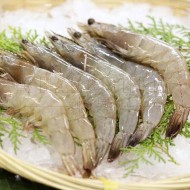 White Prawn  (31/40) 白虾 from 23pcs/pkt | ±1 kg White Prawn  (31/40) 白虾 from 23pcs/pkt | ±1 kg