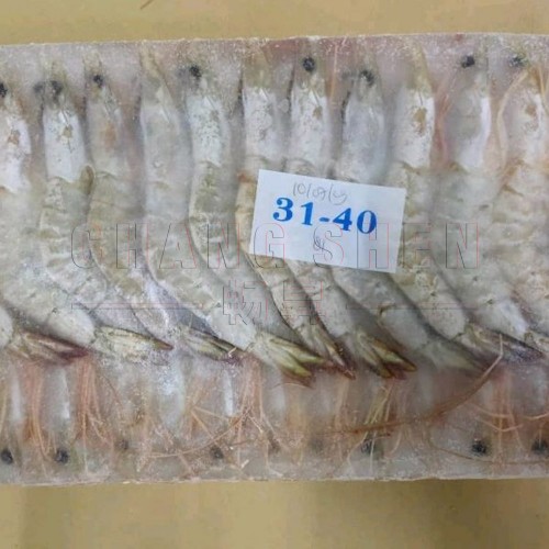 White Prawn  (31/40) 白虾 from 23pcs/pkt | ±1 kg