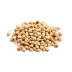 Coriander | 1 kg/pkt Coriander | 1 kg/pkt