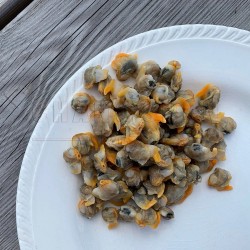 Cockle Meat 蜊肉 ± 700 GM/PKT