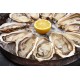IQF Oyster Meat 蚝肉| ±1 kg