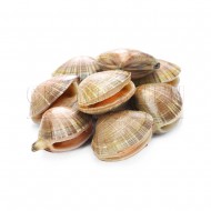 Asari Clam | ±500 gm/pkt Asari Clam | ±500 gm/pkt