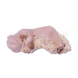 Pork Stomach (Non Washed) 猪肚（未洗）| 1 pcs/pkt